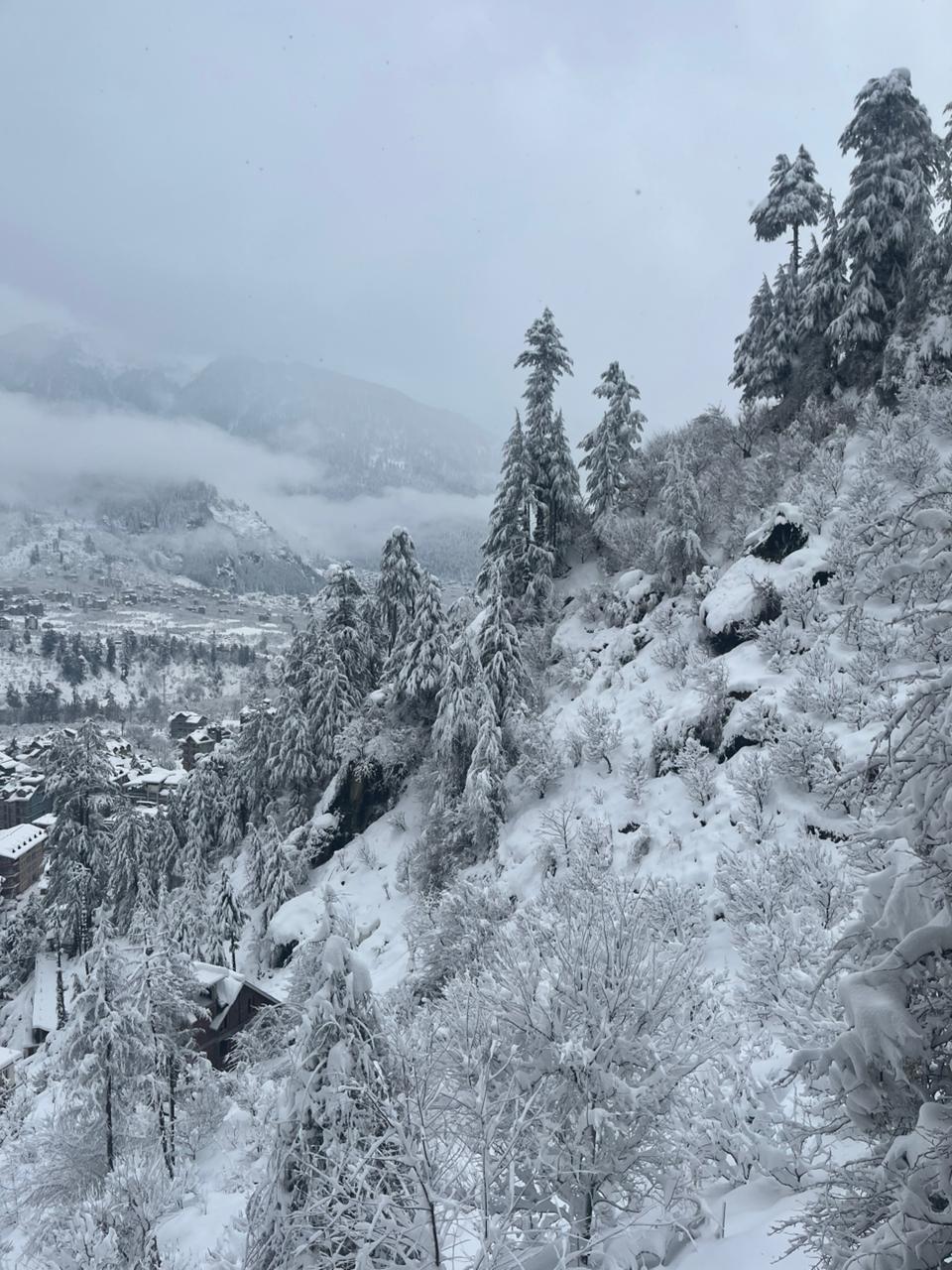 WhatsApp Image 2026-02-04 at 3.05.05 PM