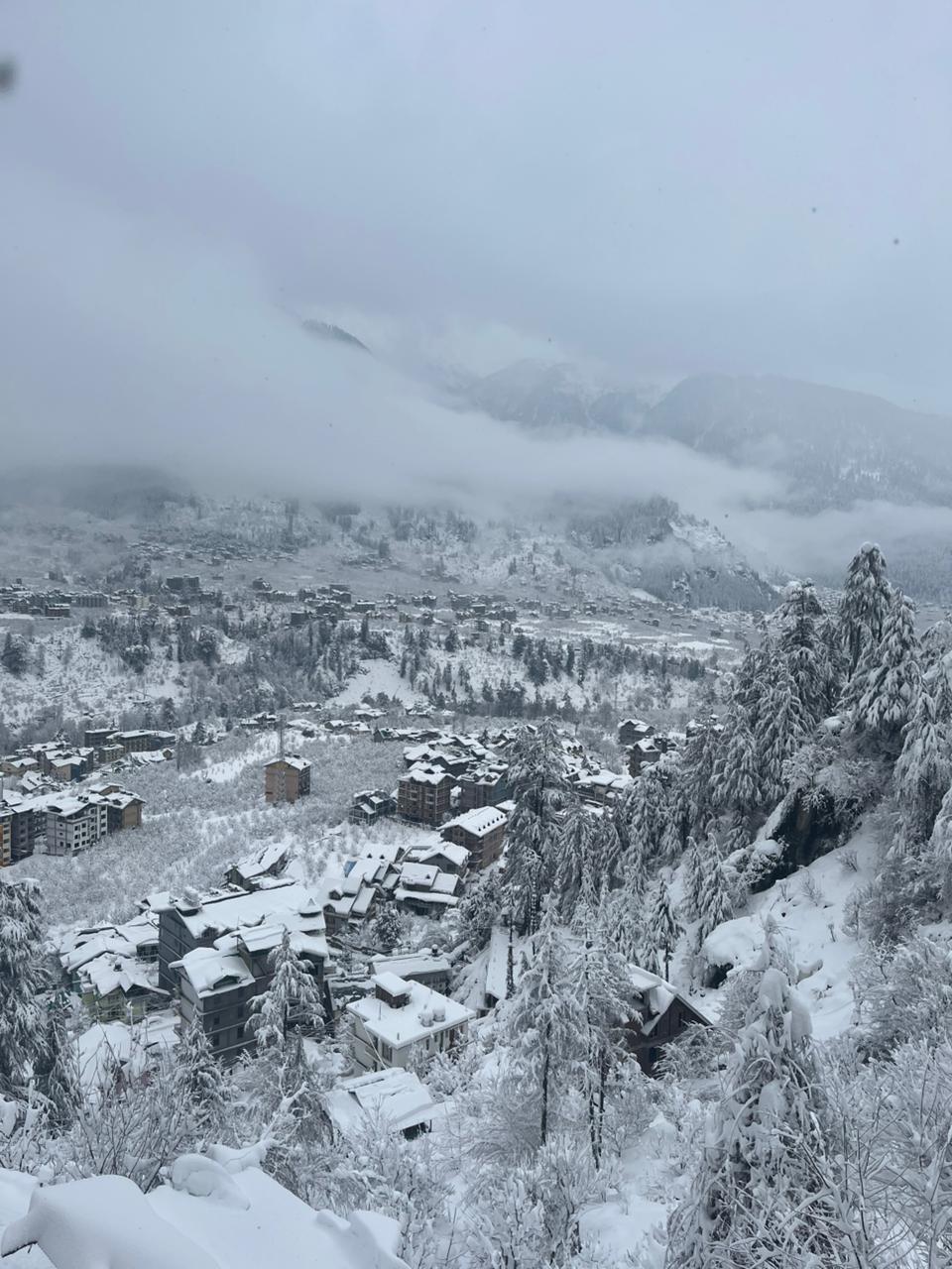 WhatsApp Image 2026-02-04 at 3.05.51 PM (1)