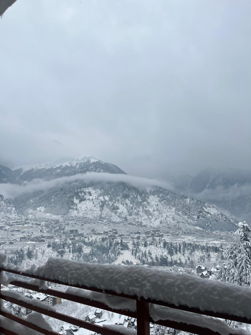 WhatsApp Image 2026-02-04 at 3.05.51 PM