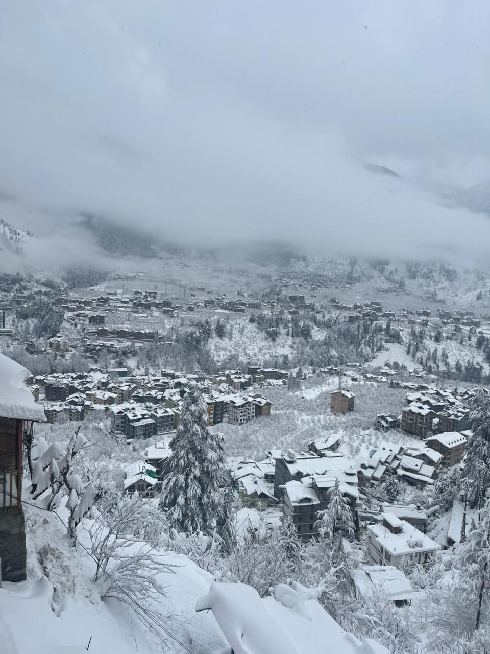 WhatsApp Image 2026-02-04 at 3.05.52 PM