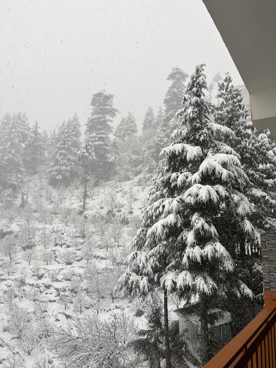 WhatsApp Image 2026-02-04 at 3.07.04 PM